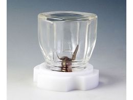 P~J 250mL KXeZbg BC250