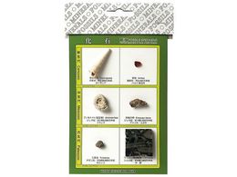 �����T�C�G���X ���ΕW�{(���ΕW�{6��)