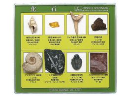 �����T�C�G���X ���ΕW�{(���ΕW�{8��)