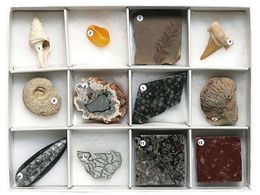 �����T�C�G���X ���ΕW�{(���ΕW�{12��)