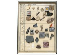 �����T�C�G���X ���ΕW�{(���ΕW�{30��)