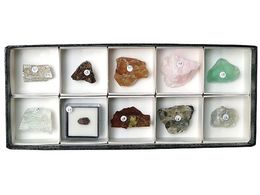 �����T�C�G���X �z���W�{(�u���z���W�{10��)