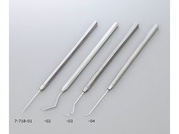 AY eXgv[u(XeX) 202SP010