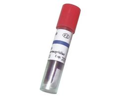 AY oCIWJCWP[^[(G[XeXg)100{ H3723