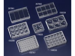 TSNu VזEp}`fBbV 150200