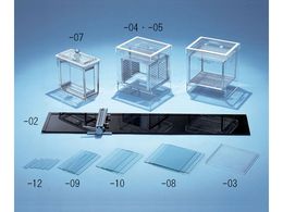 AY wN}gOtB[ zܓhוzɎq̕ 100-3