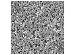 Merck Nylon disc Hydrophilic 0.20m 25mm wh pln 100 Pk 100PK GNWP02500