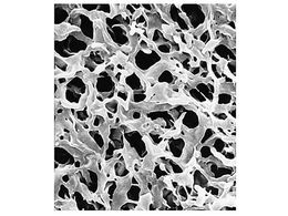 Merck Durapore disc PVDF phobic 0.22m 25mm wh pln 100 Pk 100PK GVHP02500