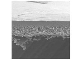 Merck UF Discs PBHK Biomax PES 300kDa 90mm 5 Pk 5PK PBMK09005