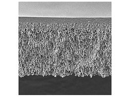 Merck UF Discs PLHK Ultracel RC 100kDa 90mm 5 Pk 5PK PLHK09005