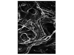 Merck Mitex disc PTFE hydrophobic 5.0m 142mm wh pln 50 Pk 50PK LSWP14250