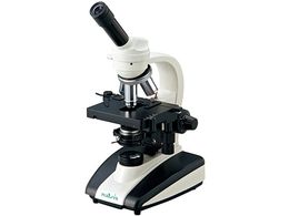 AY irXvmY P N-236-LED