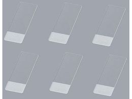 }ci~ VR[gXChOX tXg 100 S8215