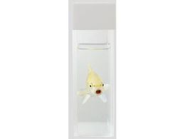 アズワン 観察用アクリル水槽平型 0 60 Forestway 通販フォレストウェイ アズワン 観察用アクリル水槽平型 0 60 Forestway 通販フォレストウェイ