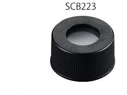 AY VWoCApLbv(3mmZv^t)100  SCB223