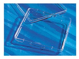 R[jO XNGAfBbVזE|{\ʏς 431110