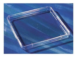 R[jO XNGAfBbV 5 pbN~4pbN 431301