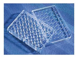 R[jO CellBIND(R)48EFv[gt^t 3338