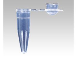 AY PCRp`[u h[Lbv0.2mL 1000 T-02