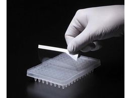 WATSON ^C^[XeBbNHCtB v[gTCY 547-KTS-HCP