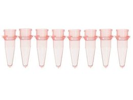 Bio Plas PCR`[u 8A0.2mL  125{ 5010-2