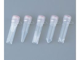 AY XN[Lbv`[u 0.5mL(^) 0.5mL^