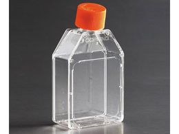 R[jO זE|{ptXR(vOV[Lbv JglbN)70mL 430168