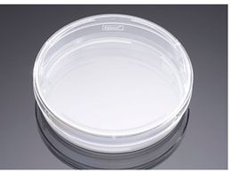 Corning vC}A 100X20mm fBbV 353803