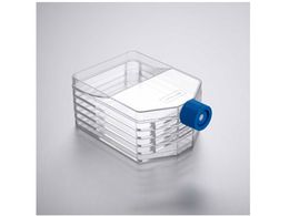 Corning PureCoat ECM Mimetic tBulN` }` 5w 356245