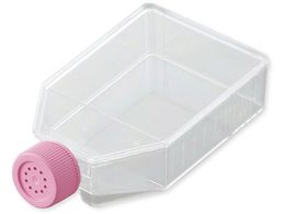 rI rIזE|{tXR(xgLbv)75cm2 VTC-F75V