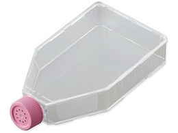 rI rIזE|{tXR(xgLbv)175cm2 VTC-F175V