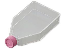 rI rIזE|{tXR(vOV[Lbv)175cm2 VTC-F175P