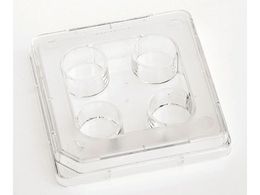 TSNu IVFp4EG}`fBbV(̊O󐸗p)66~66mm 1(4 ~30) 144444