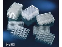 TSNu Cmv[g }`\[v nCtW 1(60) 467340