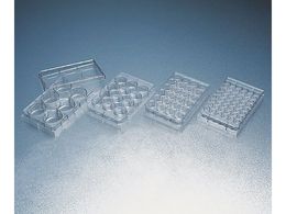 Corning ZJ`[v[g }`EFv[gEt^t 6EF  353046