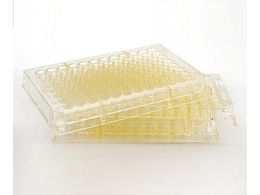 AY AbZCv[g AAAND-0001