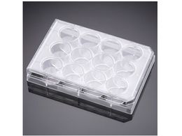 Corning ZJ`[ 12EF }`EFv[g(3530436) t^t 353225