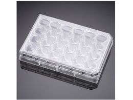 Corning vC}A 24EF }`EFv[g  t^t 353847