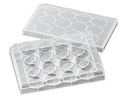 rI rI זE|{v[g VTC-P12