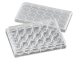 rI rI זE|{v[g VTC-P24