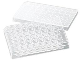 rI rI זE|{v[g VTC-P48