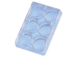 TSNu }`fBbV ی^(6EF) 140675