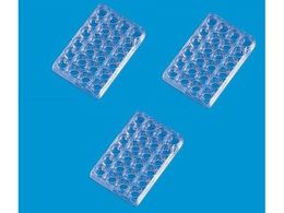 TSNu }`fBbV ی^(24EF) 142475