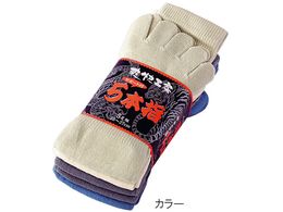 쐼H 5{w\bNX J[ 1(5) 6071