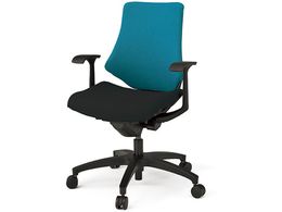 �C�g�[�L �G�t�`�F�A �z�� ���[�o�b�N T�^�I �{�̍� �w�X�g�����O�u���[