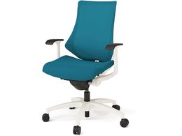 Cg[L Gt`FA bV nCobN T^I {̔ XgOu[