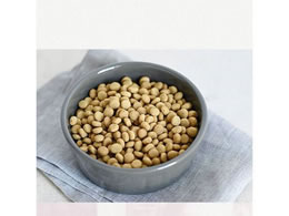 ペットライン メディコート満腹感ダイエット老齢犬用 500g Forestway 通販フォレストウェイ