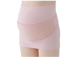 ����{�� ���� �͂��߂ĔD�w�уZ�b�g M�`L �s���N 1�Z�b�g