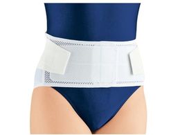 �A���P�A �T�N�����b�V���EDX LL�T�C�Y 1��