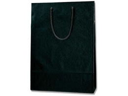 wCR[  J[`[obO 2  10 005310114